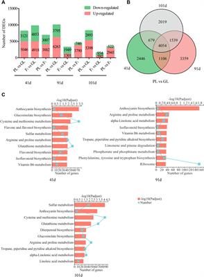 Whole-Genome Identification and Comparative Expression Analysis of Anthocyanin Biosynthetic Genes in Brassica napus